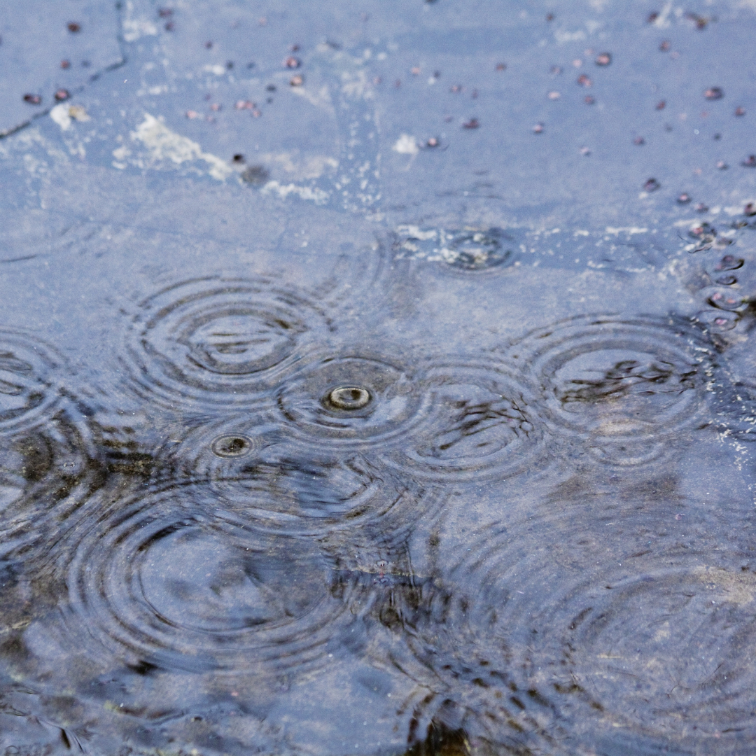 The ripple effect of our decisions is like water ripples when we throw in stones: we only see the interference after a while