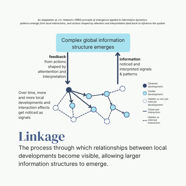 A diagram showing how interactions among local developments—some visible, some hidden—give rise to larger patterns and structures, which in turn influence how those developments are observed and understood.