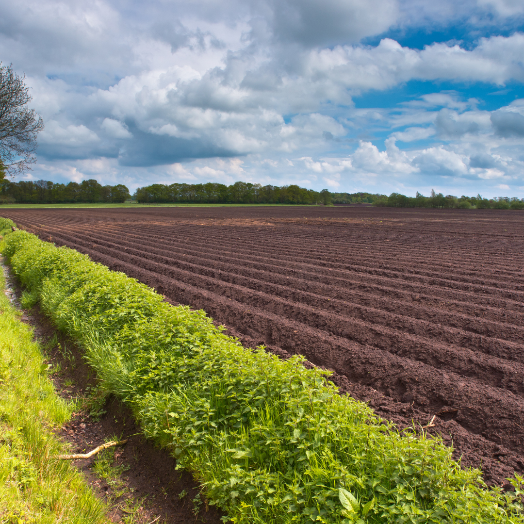 Like a successful harvest needs more than seeds alone, a technology needs an ecosystem to develop.